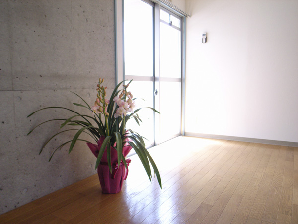 賃貸マンション3の部屋の写真